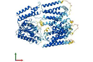 Protein Structure (PS) image for Phosphatidylinositol Glycan Anchor Biosynthesis, Class N (PIGN) (AA 1-931) protein (His tag) (ABIN7565192)