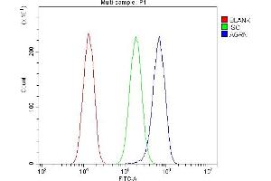 anti-Agrin (AGRN) (AA 1864-2068) antibody