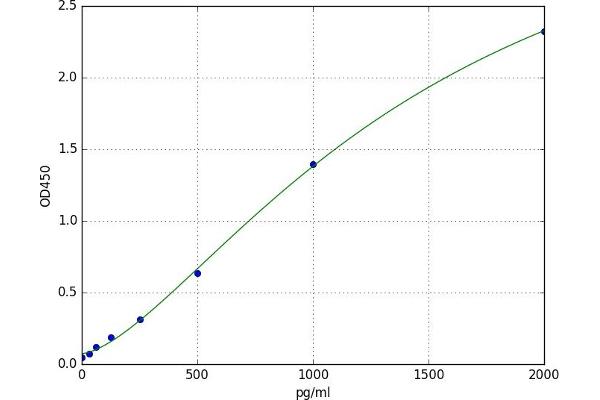 Amphiphysin ELISA Kit