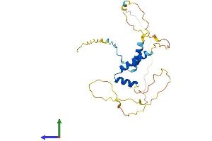 AlphaFold protein structure predicition of Mouse Recombinant Frat2 Protein, UniprotID Q8K025