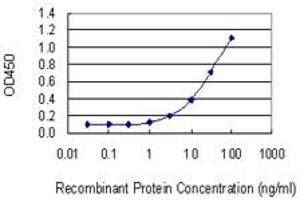Detection limit for recombinant GST tagged COMT is 0. (COMT antibody  (AA 1-182))