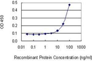 Detection limit for recombinant GST tagged DLG5 is 3 ng/ml as a capture antibody. (DLG5 antibody  (AA 1708-1809))