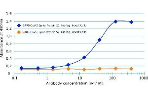 Binding curve of anti-COVID-19 & SARS-CoV S glycoprotein antibody CR3022 to SARS-CoV-2 Spike Glycoprotein domains S1 and S2 (His-Tag (Insect Cells)). (Recombinant SARS-CoV-2 Spike S1 antibody  (RBD))