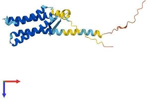 AlphaFold protein structure predicition of Human Recombinant TVP23A Protein, UniprotID A6NH52 (TVP23A Protein (AA 1-213) (His tag))