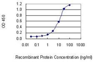 Detection limit for recombinant GST tagged ATF5 is 0. (ATF5 antibody  (AA 101-200))