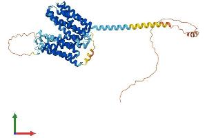 AlphaFold protein structure predicition of Human Recombinant MFSD4B Protein, UniprotID Q5TF39 (KIAA1919 Protein (KIAA1919) (AA 1-518) (His tag))
