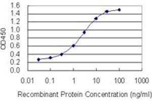 Detection limit for recombinant GST tagged PBXIP1 is 0. (PBXIP1 antibody  (AA 480-578))