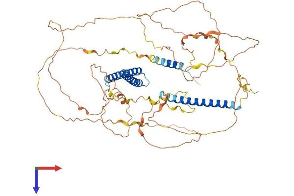 CCDC120 Protein (AA 1-630) (His tag)