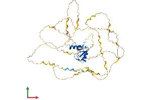 AlphaFold protein structure predicition of Mouse Recombinant Cbll1 Protein, UniprotID Q9JIY2