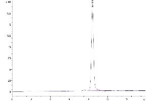 The purity of Human AFP is greater than 95 % as determined by SEC-HPLC. (alpha Fetoprotein Protein (AA 19-609) (His tag))