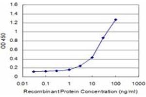 Detection limit for recombinant GST tagged CDC42BPB is approximately 0. (CDC42BPB antibody  (AA 1580-1679))
