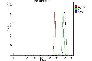 Flow Cytometry analysis of RH35 cells using anti-HOXC4 antibody (ABIN7603059). (HOXC4 antibody  (Middle Region))