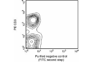 Two color analysis of the expression of CD90 on rat splenic leukocytes. (CD90 antibody)