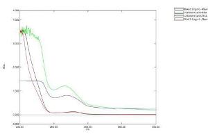 Image no. 1 for Glutamic Acid peptide (BSA) (ABIN5665972) (Glutamic Acid peptide (BSA))