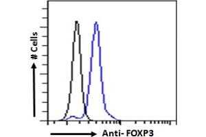 ABIN6391347 Flow cytometric analysis of paraformaldehyde fixed Human peripheral blood mononuclear cells (blue line), permeabilized with 0. (FOXP3 antibody  (C-Term))