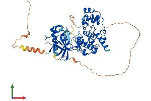 AlphaFold protein structure predicition of Human Recombinant MAPK10 Protein, UniprotID P53779 (MAPK10 Protein (AA 1-464) (His tag))