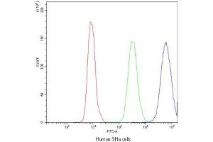 Flow cytometry testing of human SiHa cells with PPT1 antibody at 1ug/10^6 cells (blocked with goat sera) (PPT1 antibody)