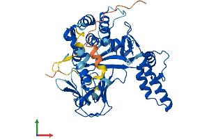 AlphaFold protein structure predicition of Mouse Recombinant Smyd5 Protein, UniprotID Q3TYX3 (SMYD5 Protein (AA 1-416) (His tag))