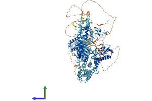 Protein Structure (PS) image for Lysine (K)-Specific Demethylase 5B (KDM5B) (AA 1-1544) protein (His tag) (ABIN7564294)
