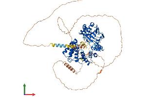 AlphaFold protein structure predicition of Human Recombinant ASPH Protein, UniprotID Q12797 (Aspartate beta Hydroxylase Protein (AA 1-758) (His tag))