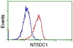 Image no. 3 for anti-5'-Nucleotidase Domain Containing 1 (NT5DC1) antibody (ABIN1499837)