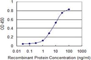 Detection limit for recombinant GST tagged PTPRN2 is 0. (PTPRN2 antibody  (AA 108-212))