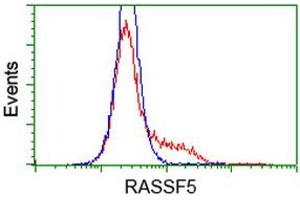 HEK293T cells transfected with either RC203854 overexpress plasmid (Red) or empty vector control plasmid (Blue) were immunostained by anti-RASSF5 antibody (ABIN2454290), and then analyzed by flow cytometry. (RASSF5 antibody)