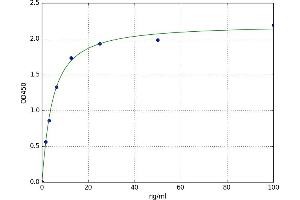 A typical standard curve