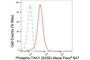 Flow cytometric analysis of Phospho-TAK1 (S439) expression in HT- cells using Phospho-TAK1 (S439) antibody (ABIN7799653), 1:2,000).