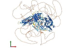 AlphaFold protein structure predicition of Human Recombinant FAM135A Protein, UniprotID Q9P2D6 (FAM135A Protein (AA 1-1515) (His tag))