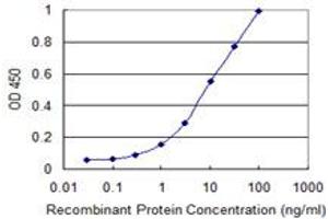 Detection limit for recombinant GST tagged CDC20B is 0. (CDC20B antibody  (AA 416-515))