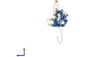 Protein Structure (PS) image for Purinergic Receptor P2Y, G-Protein Coupled, 2 (P2RY2) (AA 1-377) protein (His tag) (ABIN7550437)