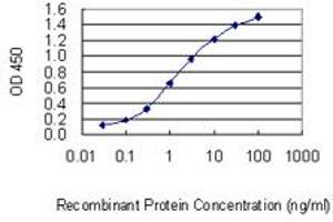 Detection limit for recombinant GST tagged NFIX is 0. (NFIX antibody  (AA 291-390))