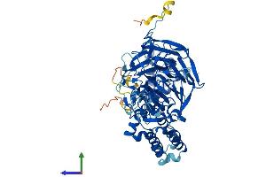 AlphaFold protein structure predicition of Human Recombinant KLHL32 Protein, UniprotID Q96NJ5