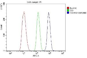 Flow Cytometry analysis of NRK cells using anti-Tnfrsf8 antibody (ABIN7600685).