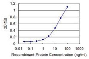 Detection limit for recombinant GST tagged ATP8B4 is 0. (ATP8B4 antibody  (AA 401-488))