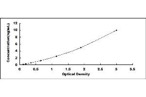 Typical standard curve (Transgelin ELISA Kit)