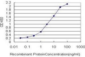 MLLT11 antibody  (AA 1-90)