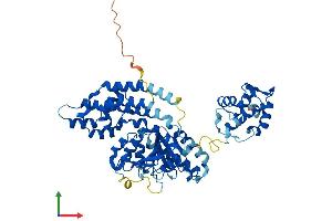 Protein Structure (PS) image for EH-Domain Containing 3 (EHD3) (AA 1-535) protein (His tag) (ABIN7565153)