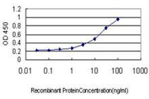 Detection limit for recombinant GST tagged RRAS is approximately 0. (R-Ras antibody  (AA 109-218))