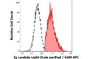 Separation of human Ig Lambda light chain positive lymphocytes (red-filled) from Ig Lambda light chain negative lymphocytes (black-dashed) in flow cytometry analysis (surface staining) of human peripheral whole blood stained using anti-human Ig Lambda Light Chain (1-155-2) purified antibody (concentration in sample 4 μg/mL, GAM APC).