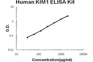 Human KIM1 PicoKine ELISA Kit standard curve (HAVCR1 ELISA Kit)