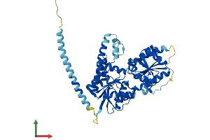 AlphaFold protein structure predicition of Human Recombinant ALG11 Protein, UniprotID Q2TAA5 (ALG11 Protein (AA 1-492) (His tag))