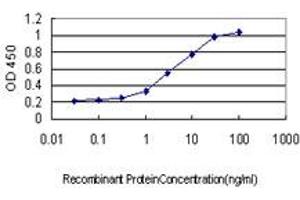 Detection limit for recombinant GST tagged EPB41L3 is approximately 0. (EPB41L3 antibody  (AA 915-1007))