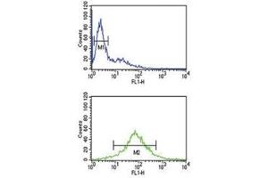 Flow Cytometry (FACS) image for anti-Enhancer of Zeste Homolog 2 (EZH2) antibody (ABIN3028636)