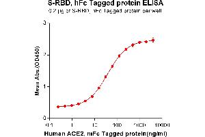 ELISA plate pre-coated by 2 μg/mL (100 μL/well) S-RBD, hFc tagged protein (ABIN6961170) can bind Human ACE2, mFc Tagged protein(ABIN6961130) in a linear range of 0. (ACE2 Protein (mFc Tag))