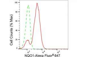 Flow cytometric analysis of NQO1 expression in HT- cells using NQO1 antibody (ABIN7800954), 1:2,000).