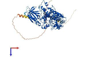 MTMR2 Protein (AA 1-643) (His tag)