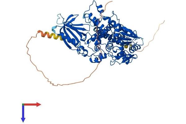 MTMR2 Protein (AA 1-643) (His tag)
