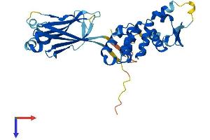 AlphaFold protein structure predicition of Mouse Recombinant Tdpoz5 Protein, UniprotID Q6YCH1